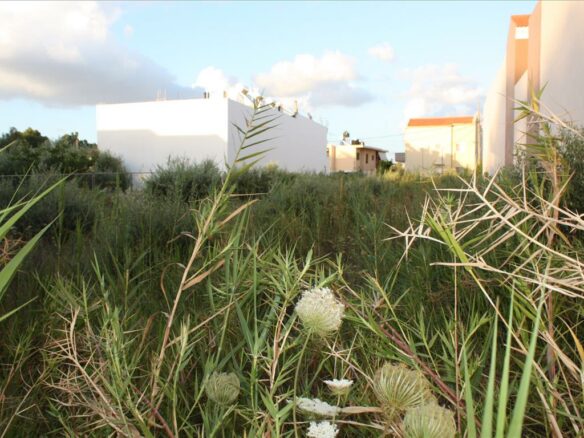 Land In Chania, Greece