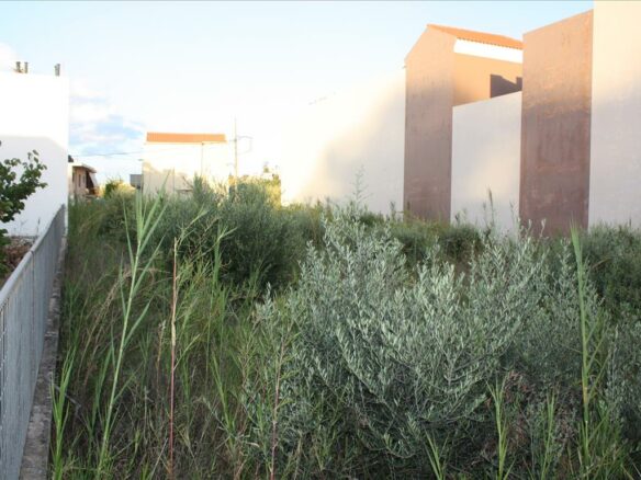 Land In Chania, Greece