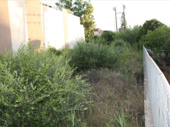 Land In Chania, Greece