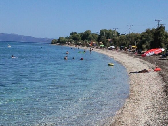 Land In Marathonas, Greece