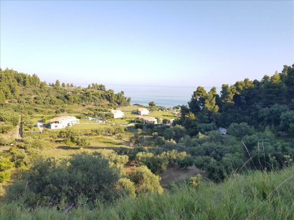 Land In Kassandra, Greece