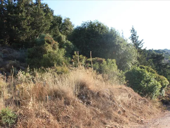 Land In Vamos, Greece