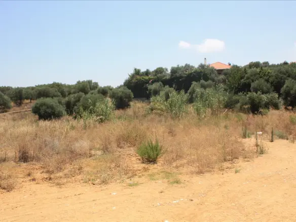 Land In Nea Kidonia, Greece