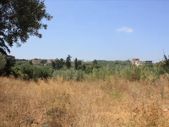 Land In Nea Kidonia, Greece