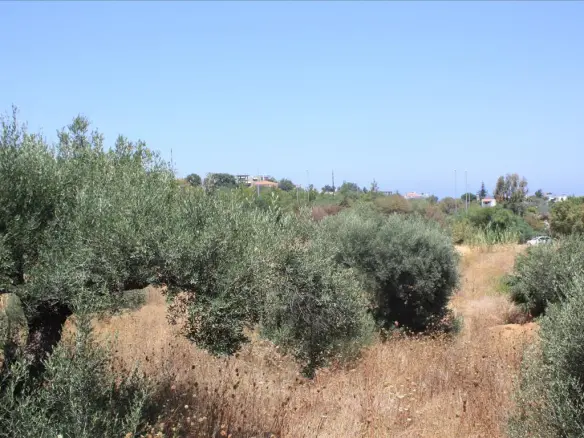Land In Nea Kidonia, Greece