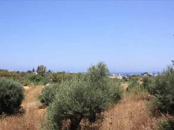 Land In Nea Kidonia, Greece
