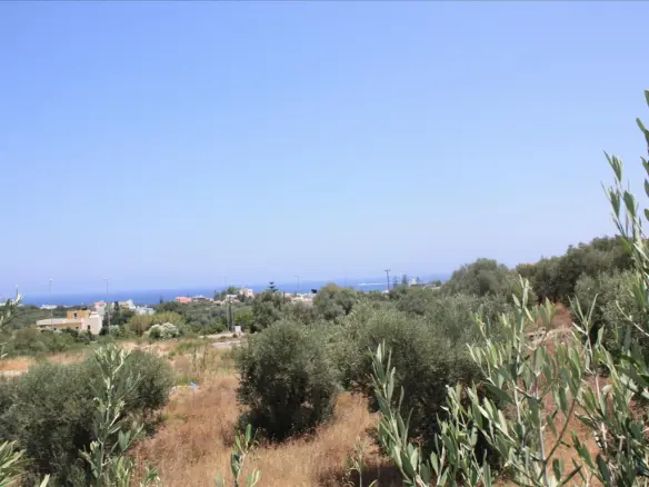 Land In Nea Kidonia, Greece