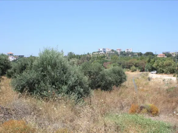 Land In Nea Kidonia, Greece