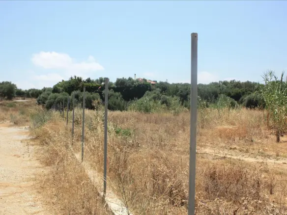 Land In Nea Kidonia, Greece