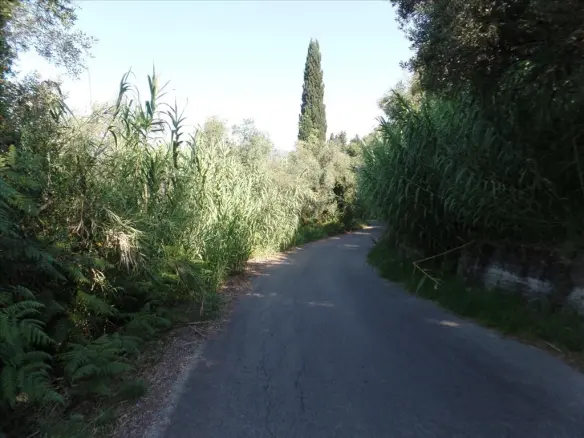 Land In Corfu, Greece