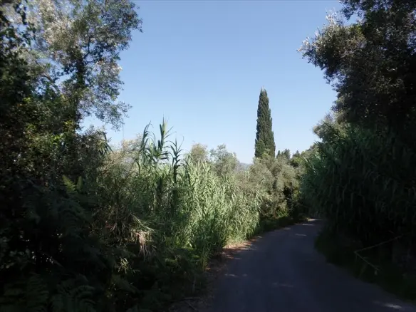 Land In Corfu, Greece