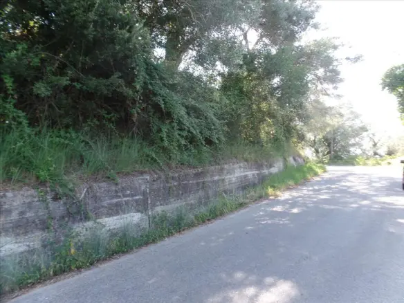 Land In Corfu, Greece