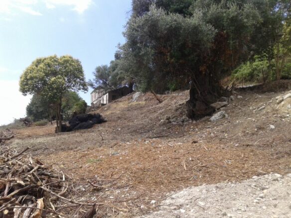 Land In Corfu, Greece