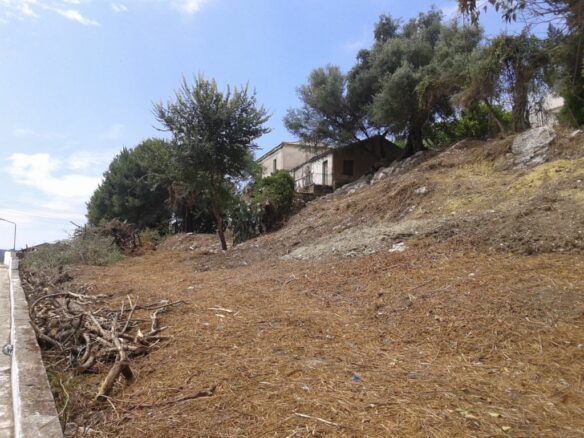 Land In Corfu, Greece