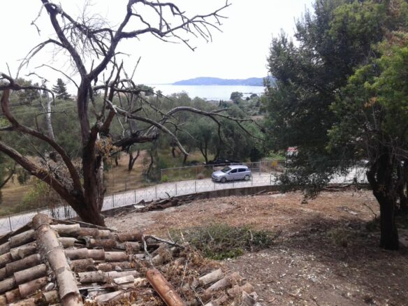 Land In Corfu, Greece
