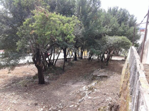 Land In Corfu, Greece