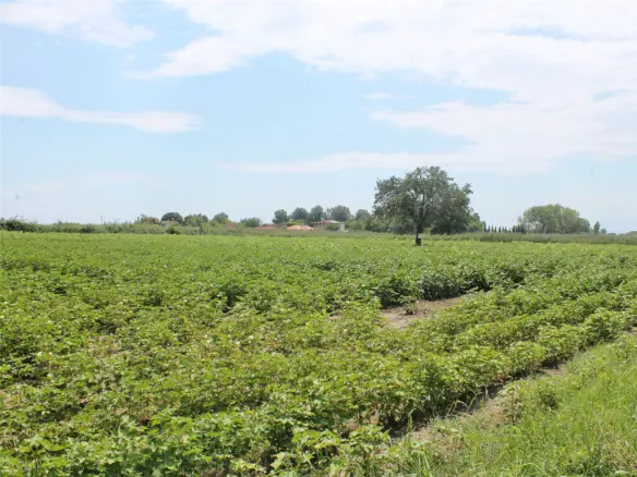 Land In Katerini, Greece (10.952 M²)