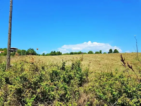 Land In Kassandra, Greece