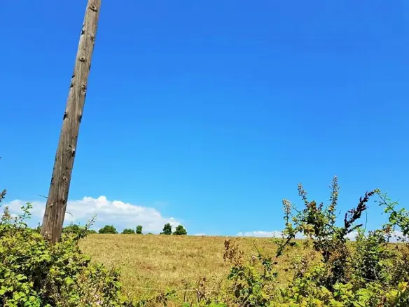 Land In Kassandra, Greece