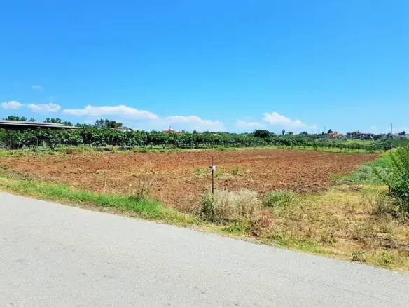 Land In Kassandra, Greece