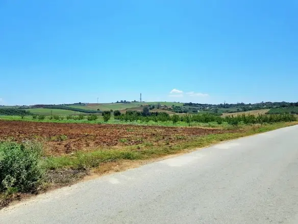 Land In Kassandra, Greece
