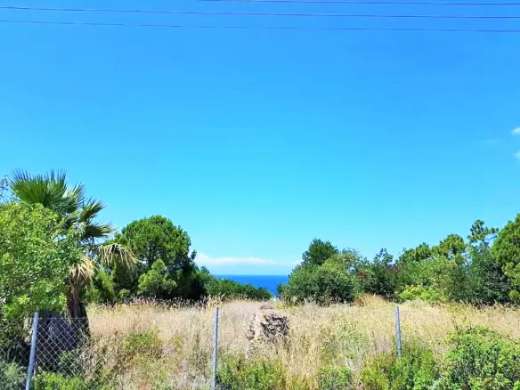 Land In Kassandra, Greece