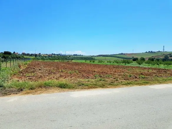 Land In Kassandra, Greece