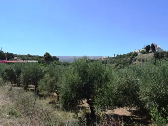 Land In Arkadi, Greece