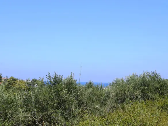 Land In Arkadi, Greece