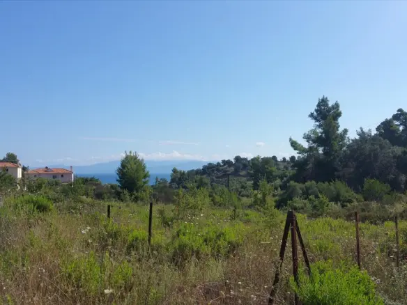 Land In Kassandra, Greece (9.000 M²)