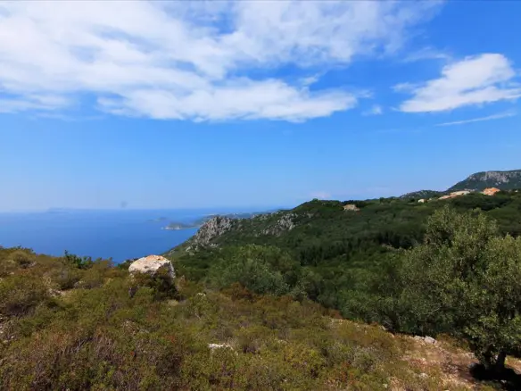 4000 M² Plot Available In Corfu