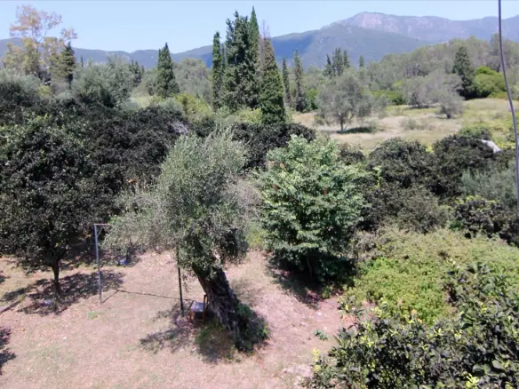 Detached House In Corfu, Greece (220 M²)