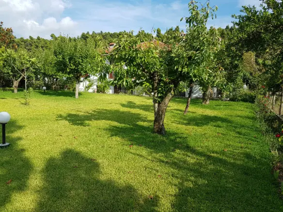 5-bedroom Detached House In Kassandra, Greece (305 M²)