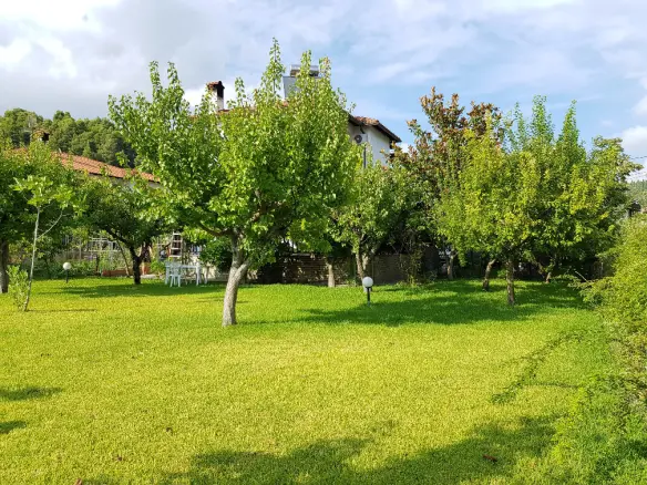 5-bedroom Detached House In Kassandra, Greece (305 M²)
