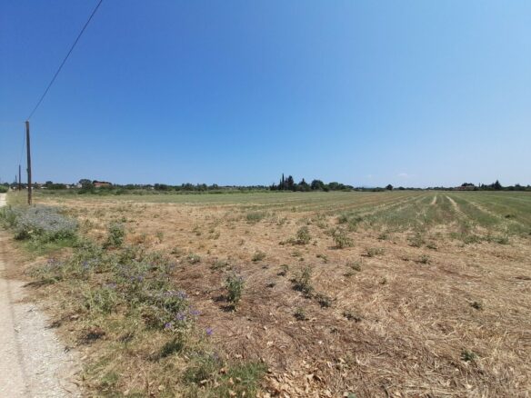 Land In Thermaikos, Greece