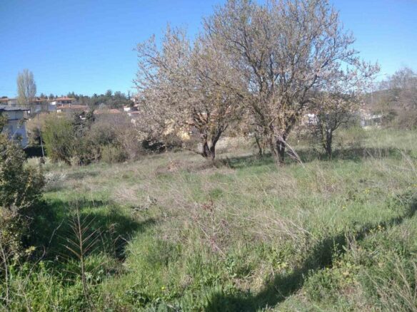 Land In Chortiatis, Greece