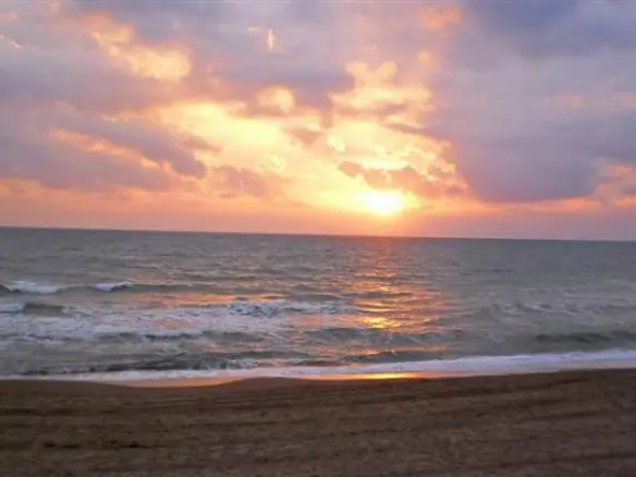Land In Amaliada, Greece
