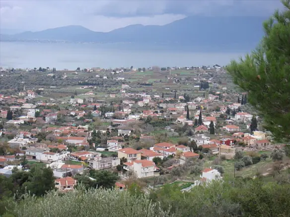 Land Measurement Of 2100 M² Available On Euboea Island
