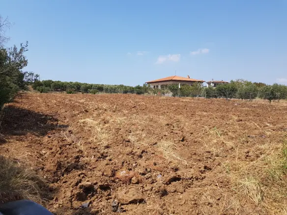 Land In Kassandra, Greece