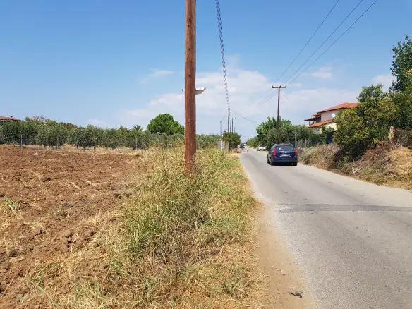 Land In Kassandra, Greece