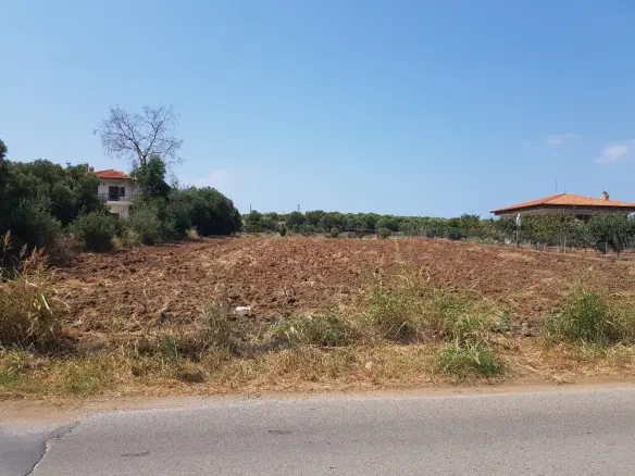 Land In Kassandra, Greece