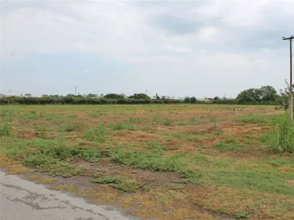 Land In Katerini, Greece