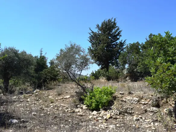 Land In Rethimno, Greece