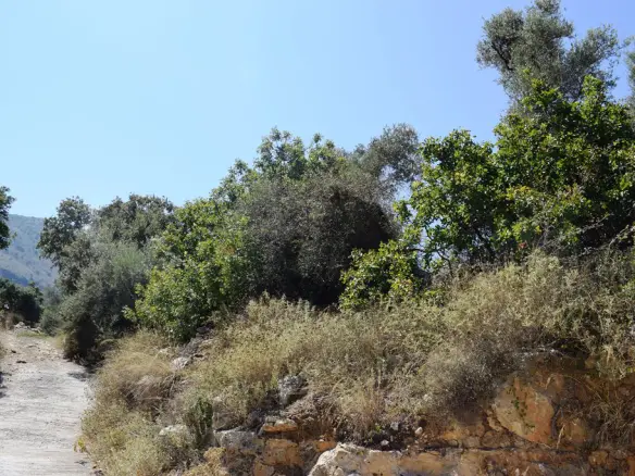 Land In Rethimno, Greece