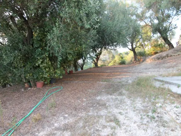 Detached House In Corfu, Greece (250 M²)