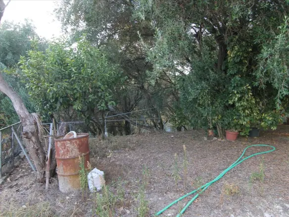 Detached House In Corfu, Greece (250 M²)