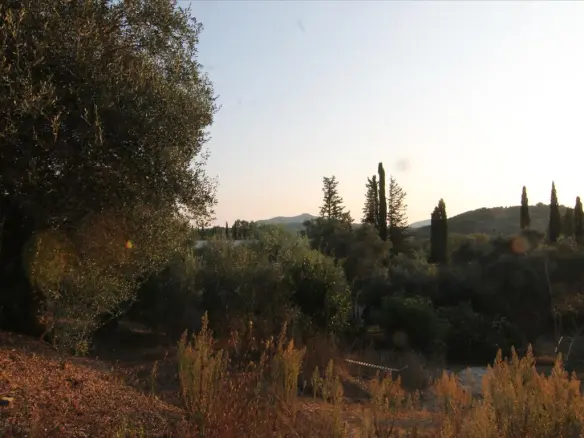 Detached House In Corfu, Greece (250 M²)