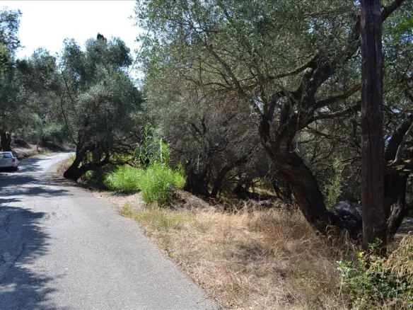 Land In Corfu, Greece