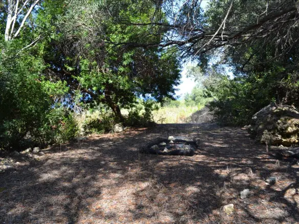 Land In Corfu, Greece