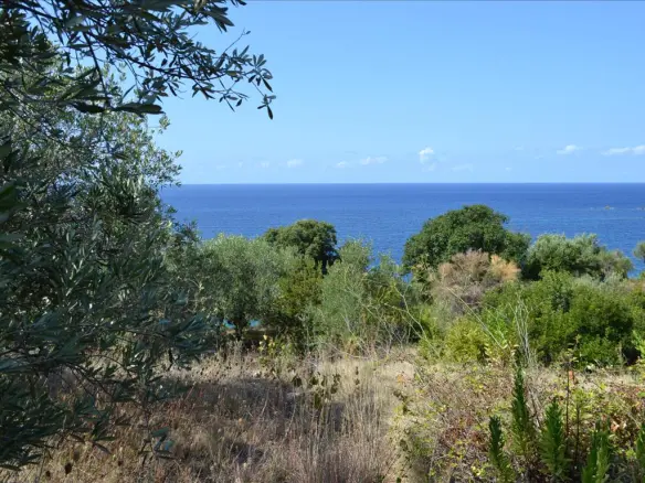 Land In Corfu, Greece